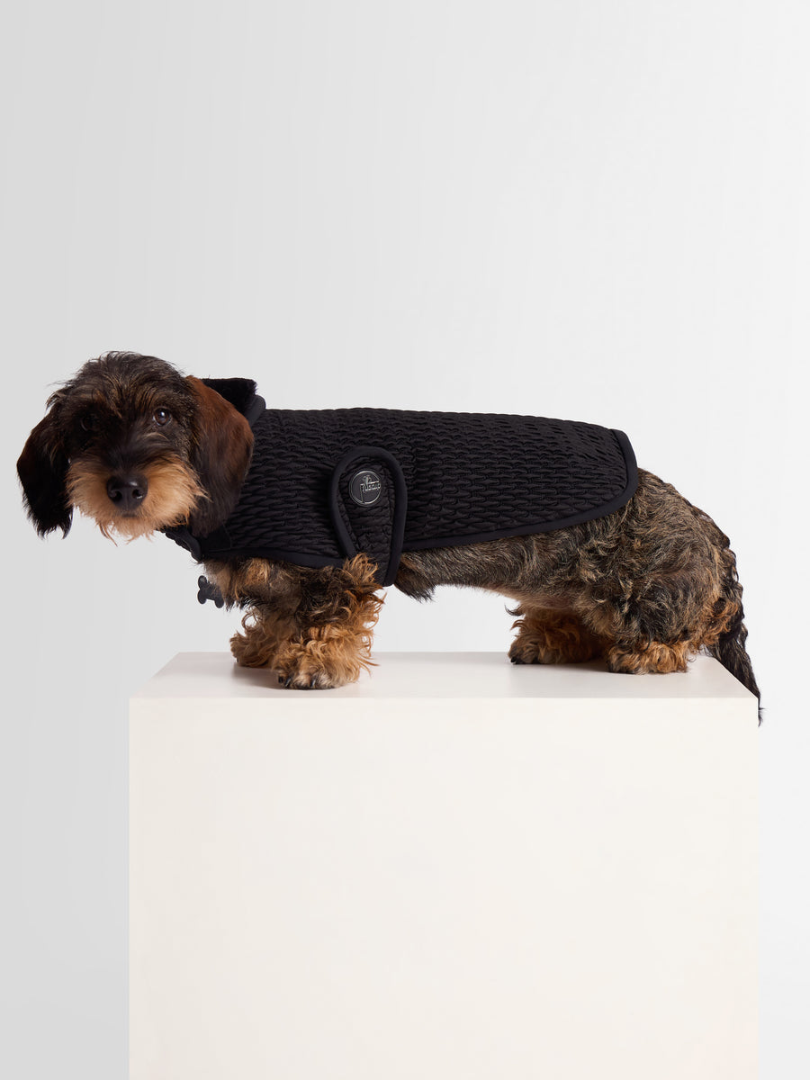 MANTEAU POUR CHIEN PAWINO