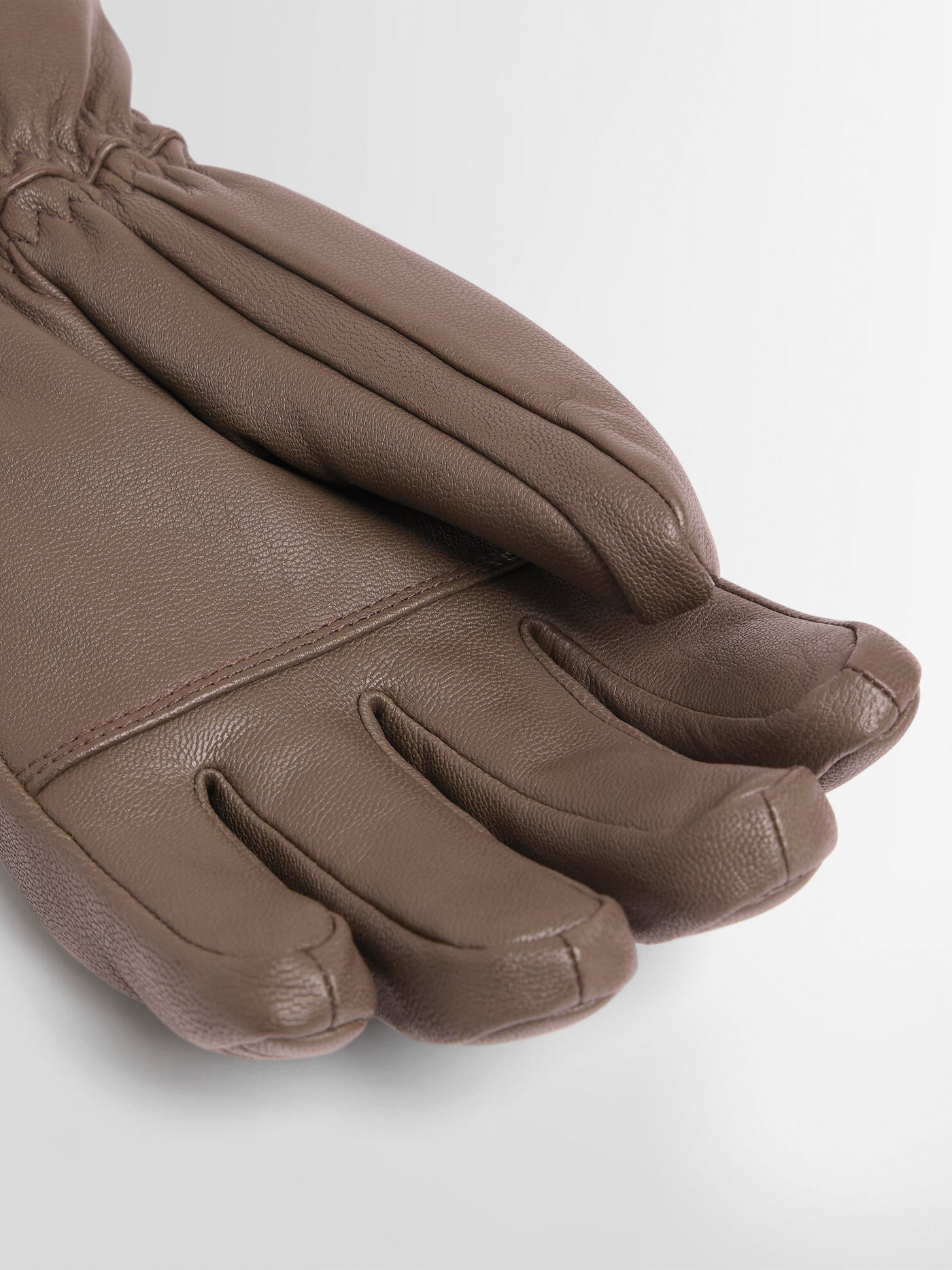 GANTS DE SKI ALBINEN CUIR